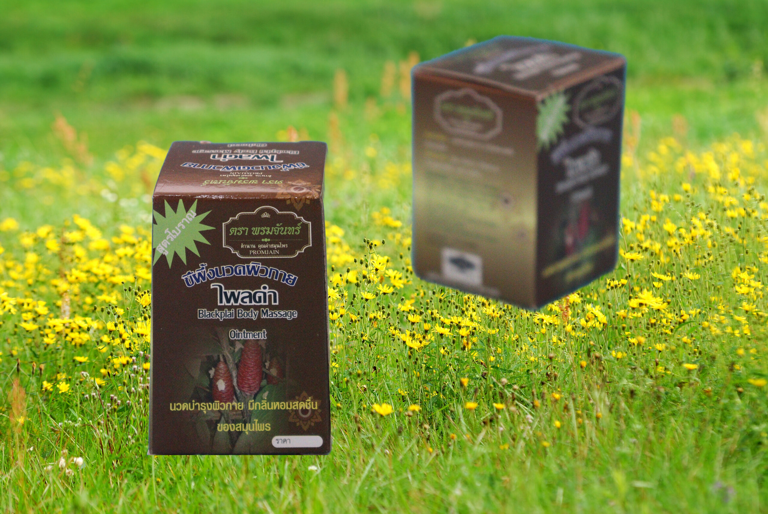 fragment of a field with flowers with Black Plai Body Massage Balm