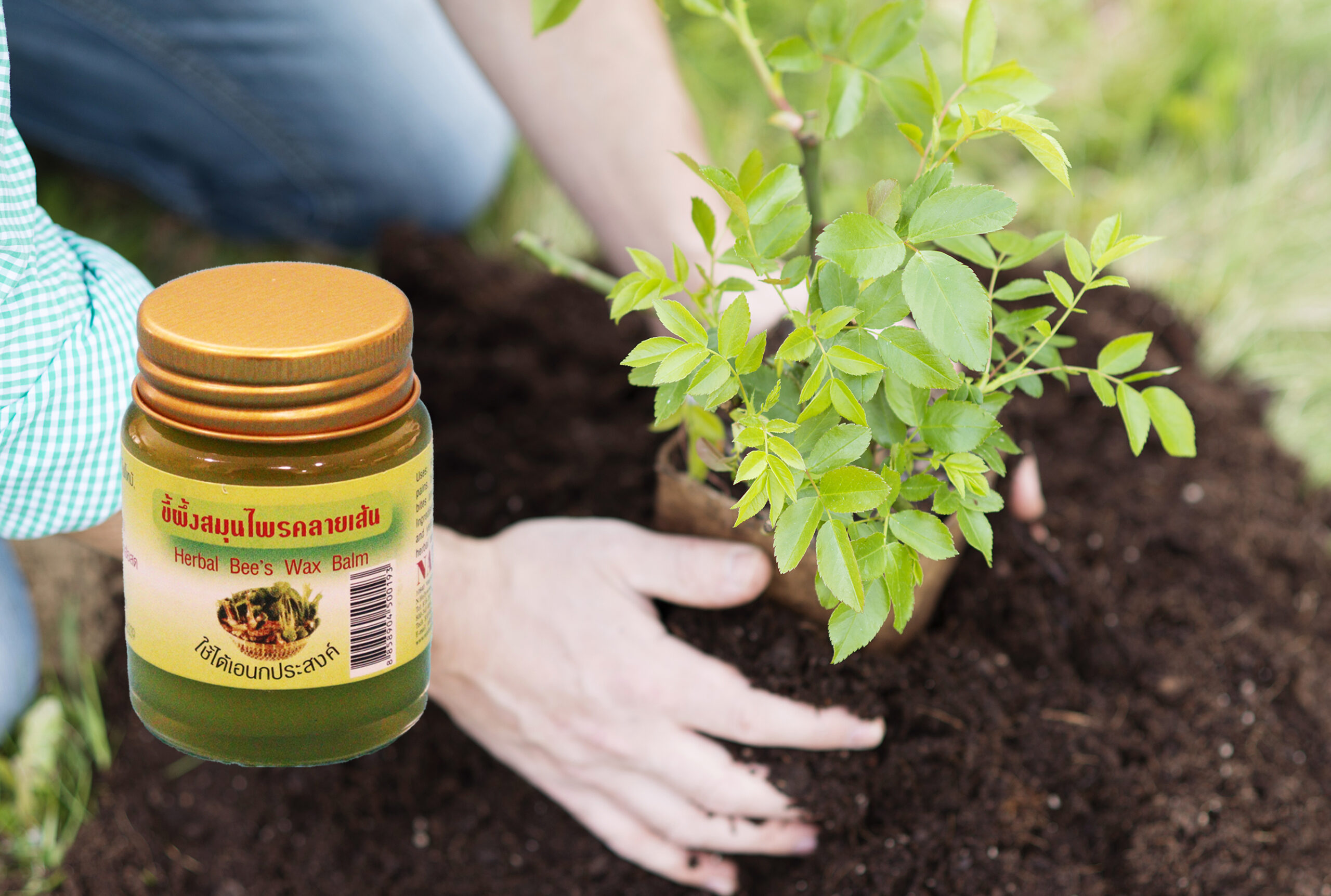 Herbal Bees Wax Balm x1 Herbs in Garden